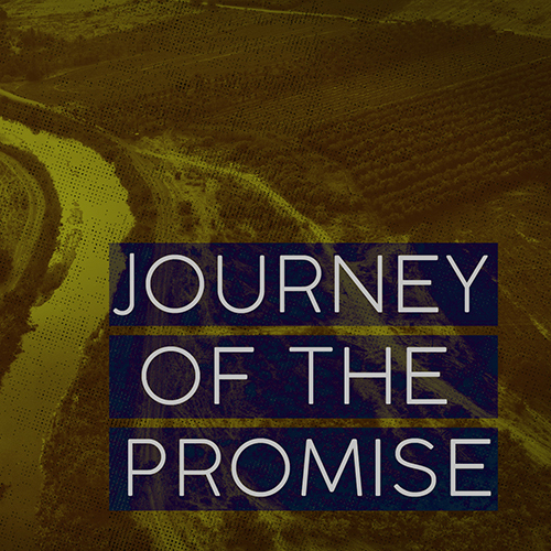 Journey of the Promise - Week 10